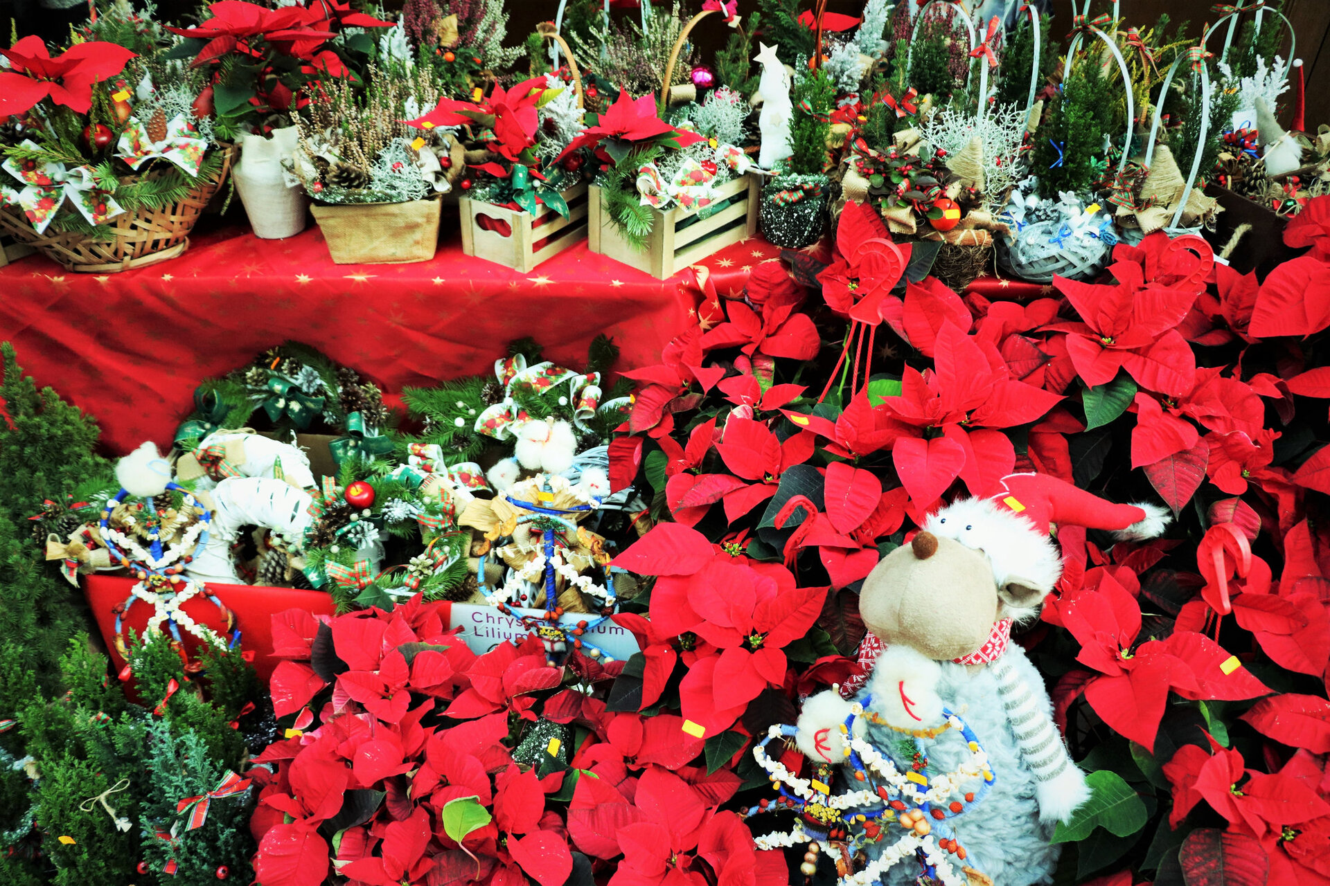 Благотворителен Коледен Базар и Концерт 2019