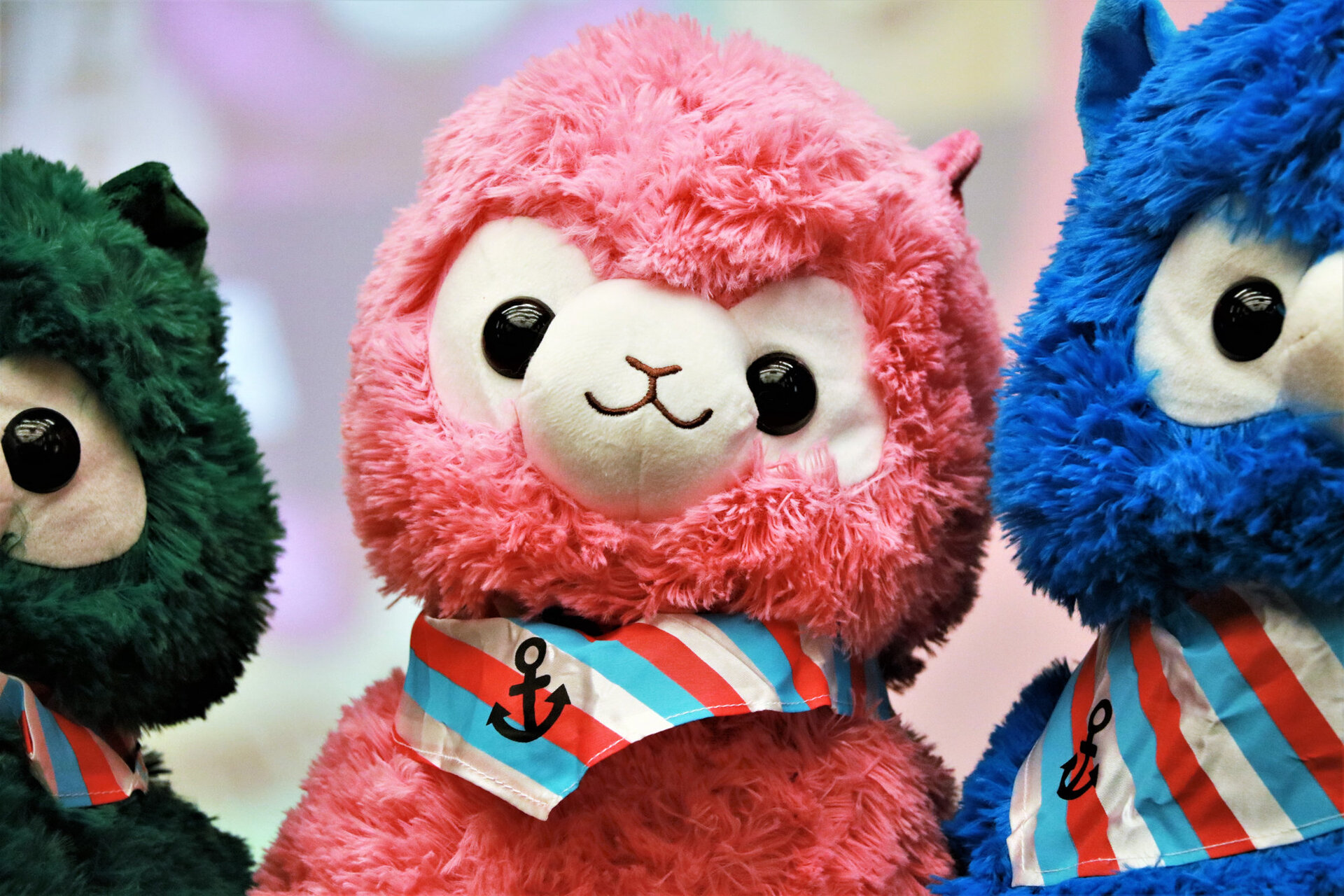 World Scholar’s Cup 2020 Софийски кръг