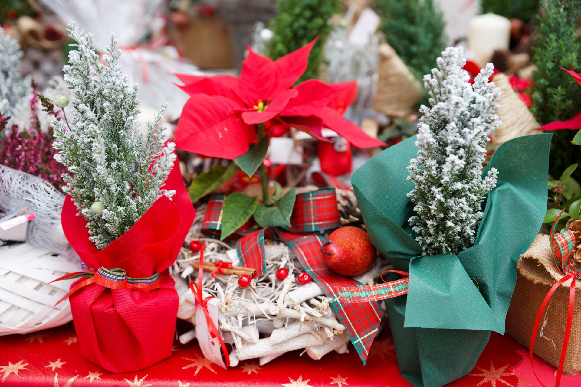 Благотворителен коледен базар и концерт