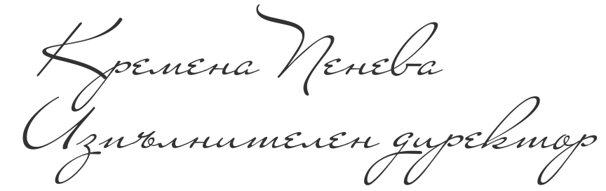 Изпълнителен директор