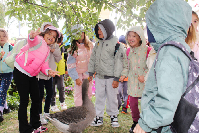 Three Days of Discovery for Our Grade 1 Students